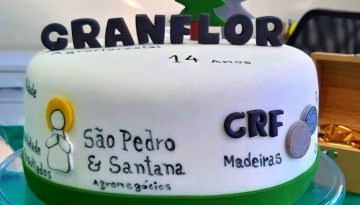 Aniversário de 14 anos