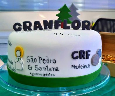 Aniversário de 14 anos